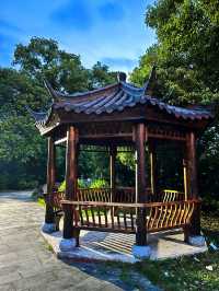 春日旅途｜上海周邊私藏踏青攻略總結