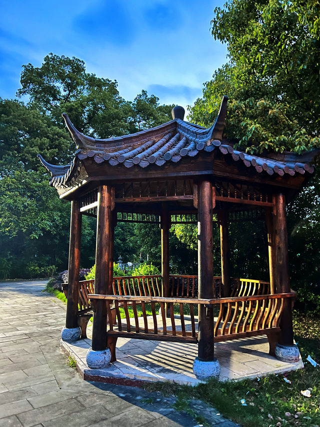 春日旅途｜上海周邊私藏踏青攻略總結