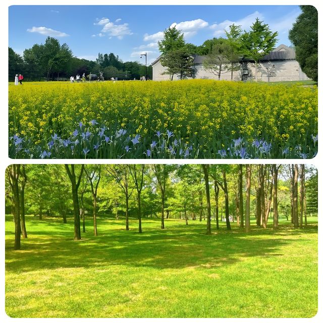 北京·北坞公園