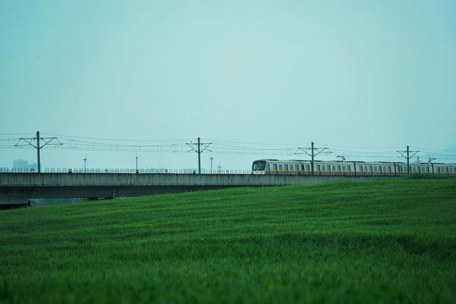 麥田 | 列車