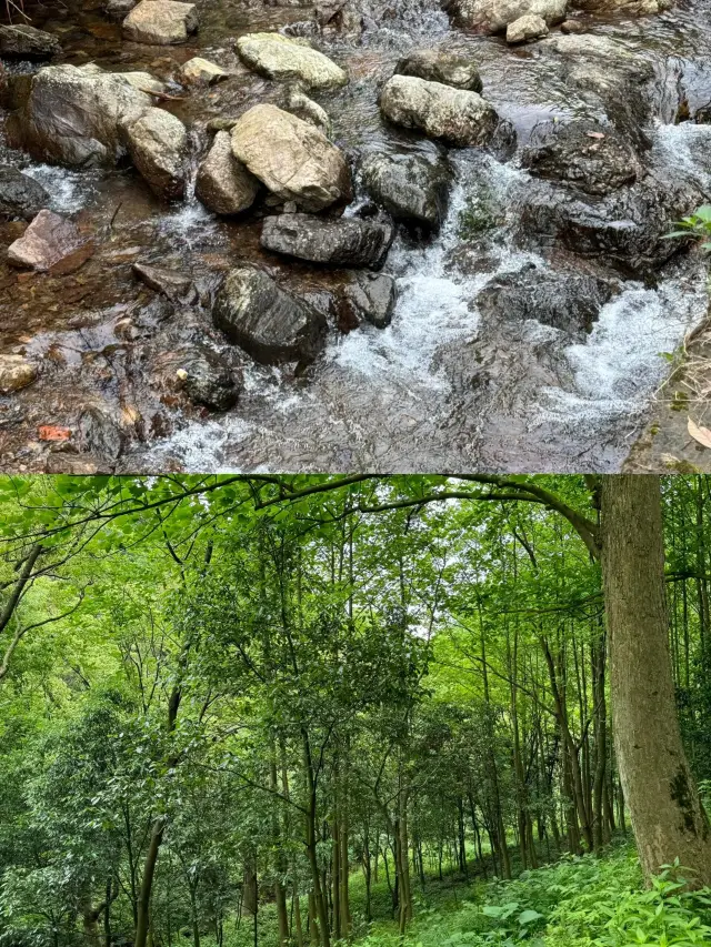 Treasure Camping Site·Jiufeng Reservoir