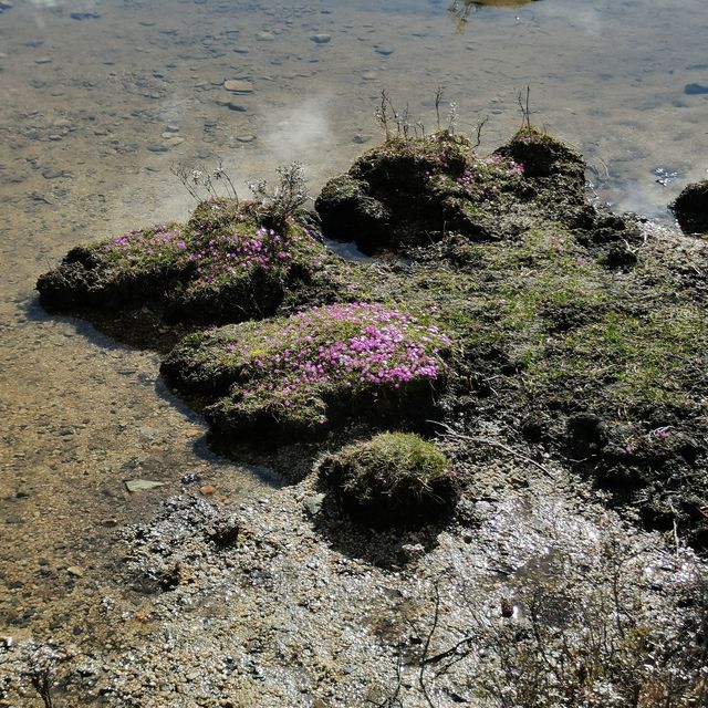 措普溝—美景集大成的地方