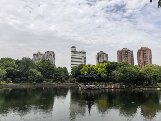 城市公園圖鑑|和平公園