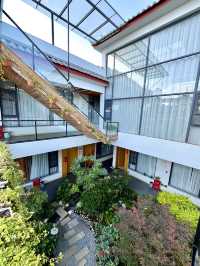 人生建議來麗江一定要住這家花園民宿