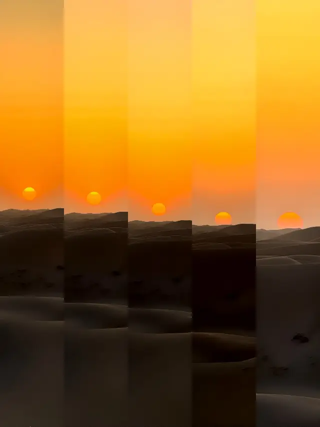 Desert Star Hotel In-depth Experience Sharing~