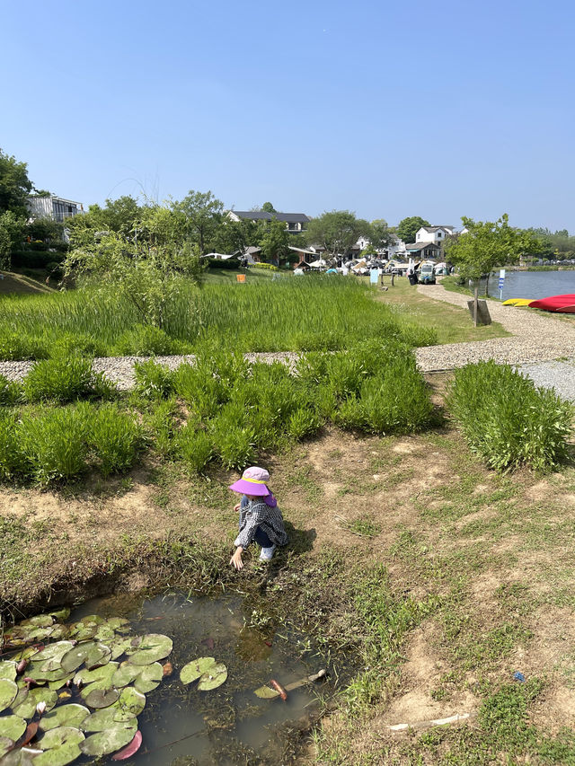 南京小眾秘境免費遛娃露營地