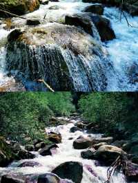 汐兒旅行|在山野納涼採摘·孟屯河谷