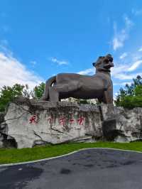 天下第一虎