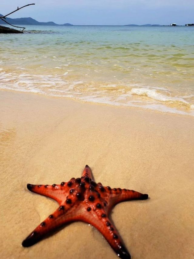 🏝️ Phu Quoc: Vietnam's Largest Island with a Twist 🇻🇳