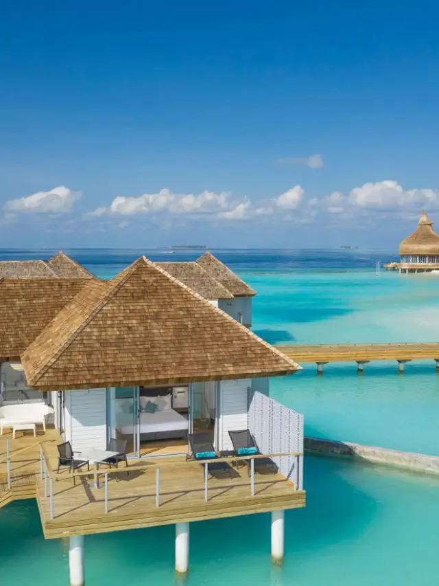 🌴🍹 Maldives Marvels: Chill Vibes & Culinary Delights at Outrigger Resort 🏖️🥂