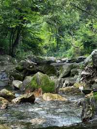 西安 | 逃離城市高溫，一頭栽進25度的秦嶺