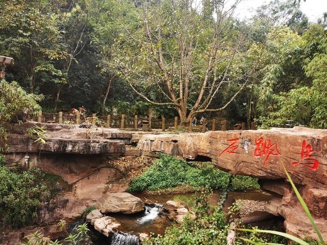 普洱那柯里 普洱那柯里