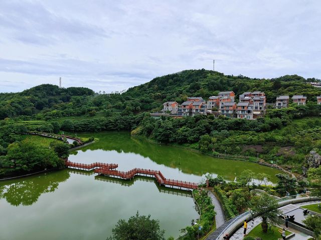 廣東的雲海也是如此壯觀