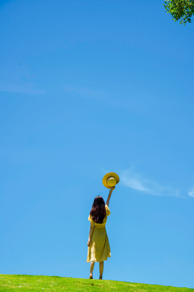 想安利給全深圳人這裡夏日拍照真的好美啊！