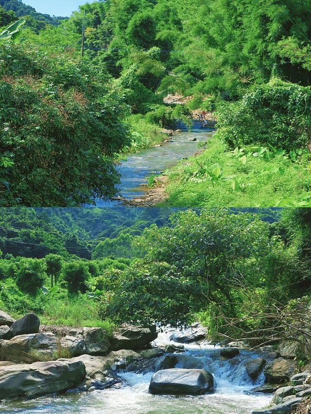 廣州有自己的阿勒泰鑫這避世清涼山谷絕了~