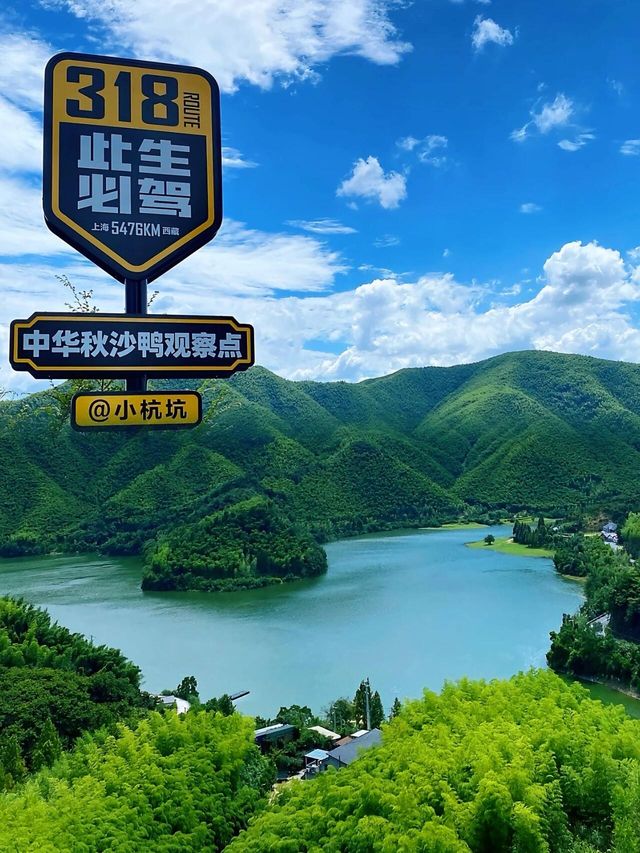 在安吉朋友圈问疯了！都以为我去新疆了|||