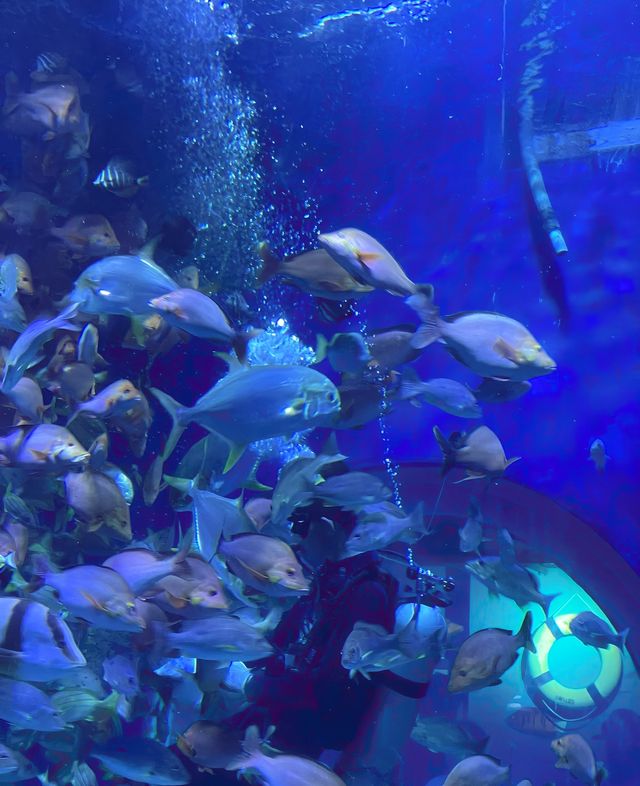 兰州海洋公園海洋公園