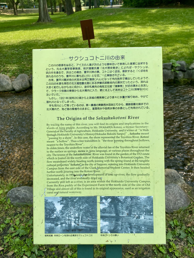 漫步北海道大學