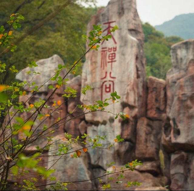 韶關真溫泉!禪意滿滿，來就對了