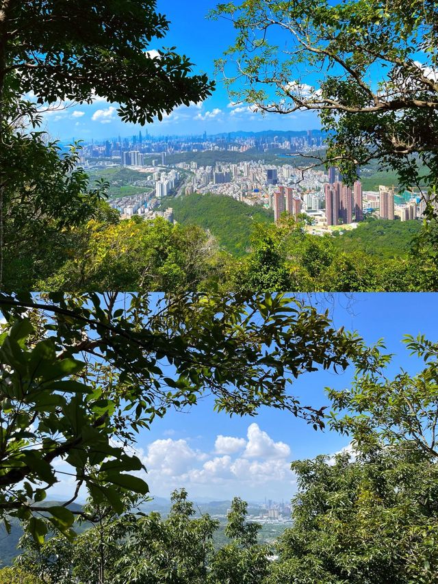 鐵直達深圳梧桐山！去爬山看這篇就夠啦|||