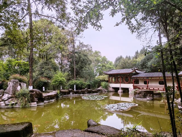 一起看綿陽世界級風景｜免費景點，富樂山
