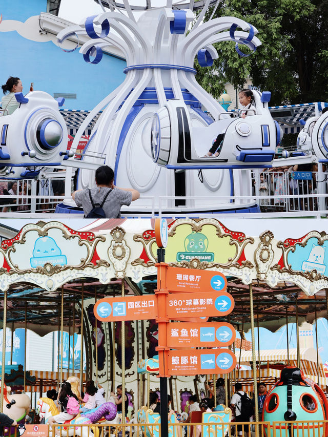 成都遛娃好去處地鐵直達的夢幻海洋公園