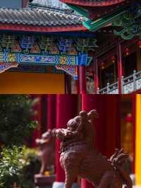 有被震撼到南京1h到達的千年古剎|免門票