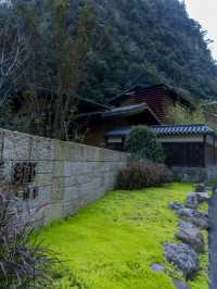 🌟 Enchanting Escapes: Chongqing's Zen Hideaway 🌿🏞️