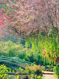 豐澤植物園，解鎖自然與文藝的完美邂逅