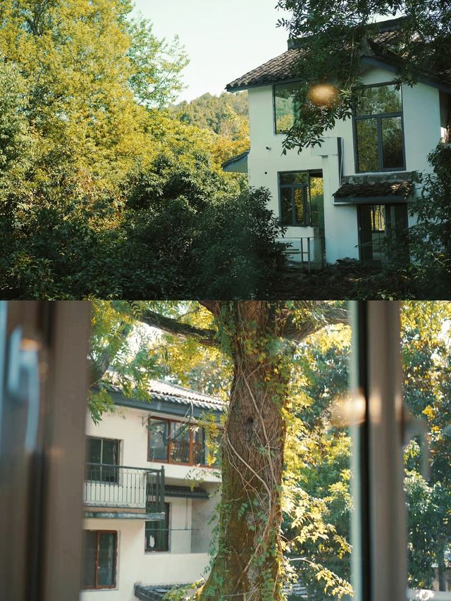 西湖遊記：夢棲若白雅苑，悠閒西湖畔的靜謐時光