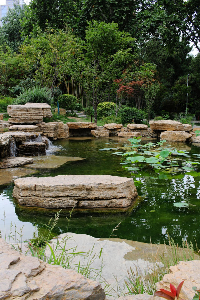 碧沙崗公園-藏著鄭州才懂的忠義和浪漫