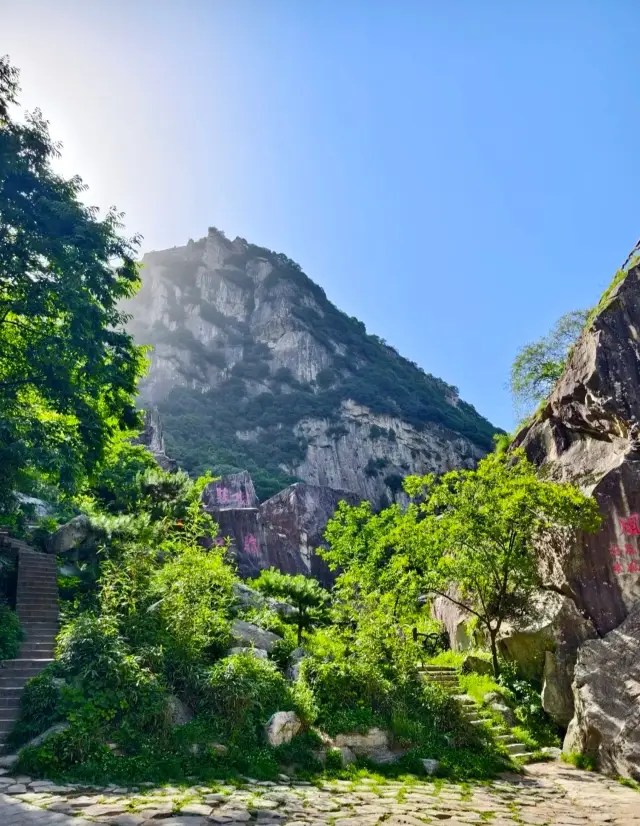 종남독수, 산붕천연박물관——취화산