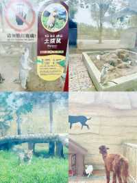 漯河-▻神州鳥園