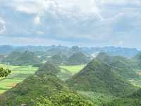 羅平金雞峰叢