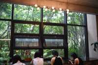 長春水文化生態園，一座城市裡的森林公園