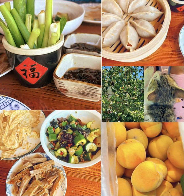 京北驿站｜雞鳴驛古鎮。