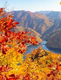 北海道秋天的《定山溪》。
北海道定山溪「紅葉季」遊覽路線和景點推薦