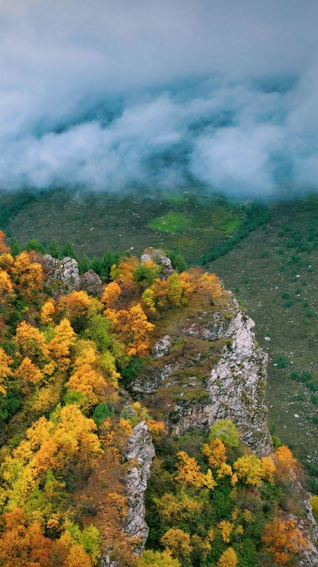 山河已秋｜祁連山冰溝河景區。