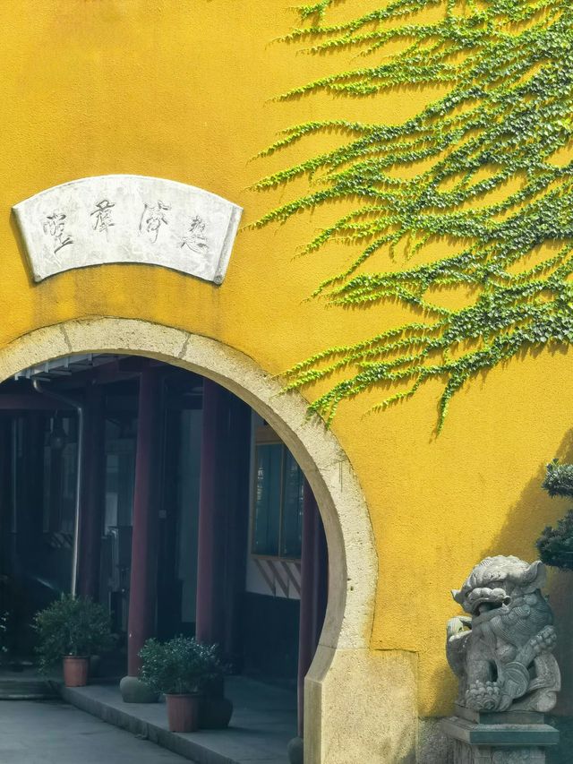 花築奢·舟山｜佛教聖地名不虛傳，治癒焦慮。