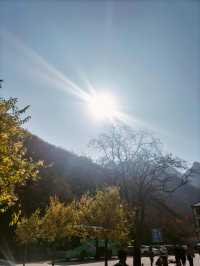 重慶璧山 | 一生之城 | 美好之地。