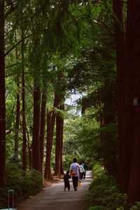 魔都最懂浪漫的公園。