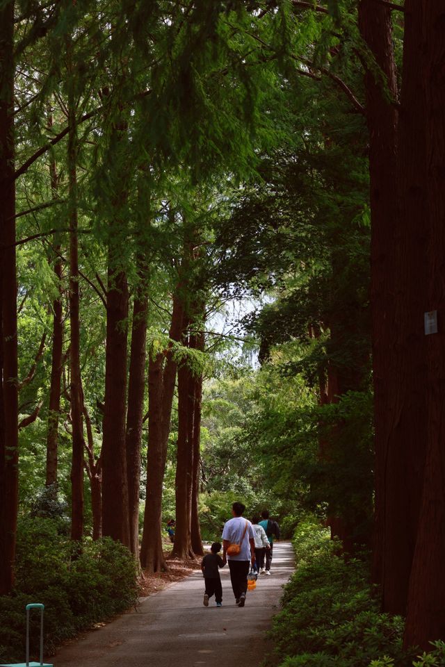 魔都最懂浪漫的公園。