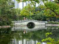 蛻變——和平公園。