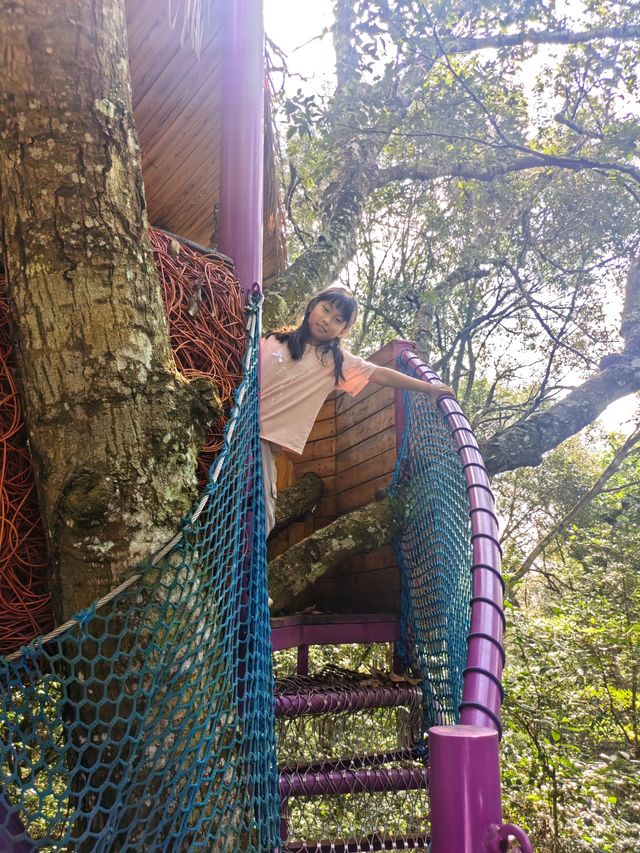 今天天氣很好，很想和您曬曬太陽。版納是我雲南唯一沒到過的地方，那曼妙的傣族、潑水的歡樂、異域的美食。