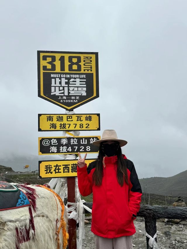 西藏｜第3天 - 色季拉山口 - 南迦巴瓦峰 - 林芝陰天！下雨！到處都是大霧和雲，穿插在群山之中，宛如仙境。