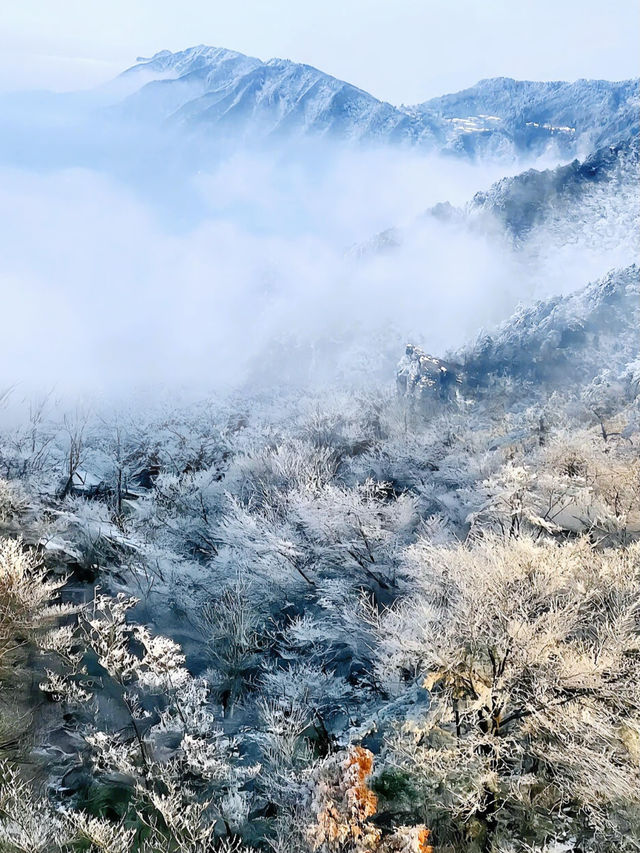 廬山冬日雪之旅。