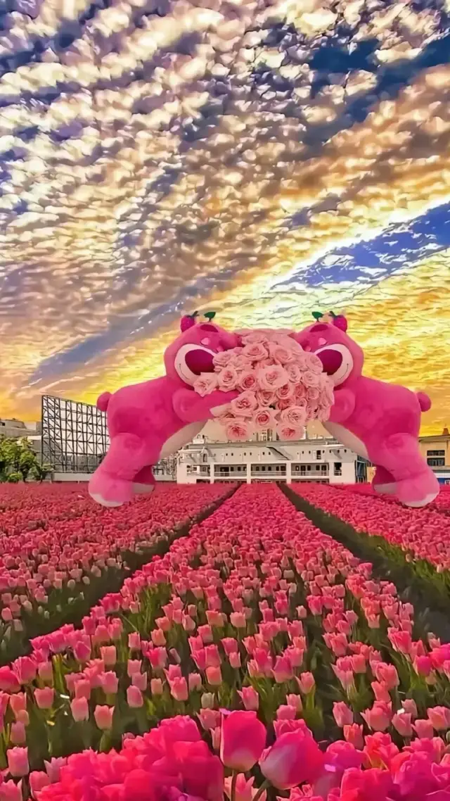 春日的浪漫，必去的打卡地。