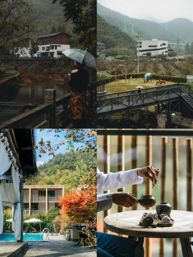本以為莫干山夠美了直到我來了這裡。