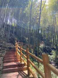 宜賓 僰王山｜遠離霧霾 走進氧吧。