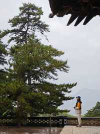 跟着悟空遊古建——二刷忻州佛光寺。